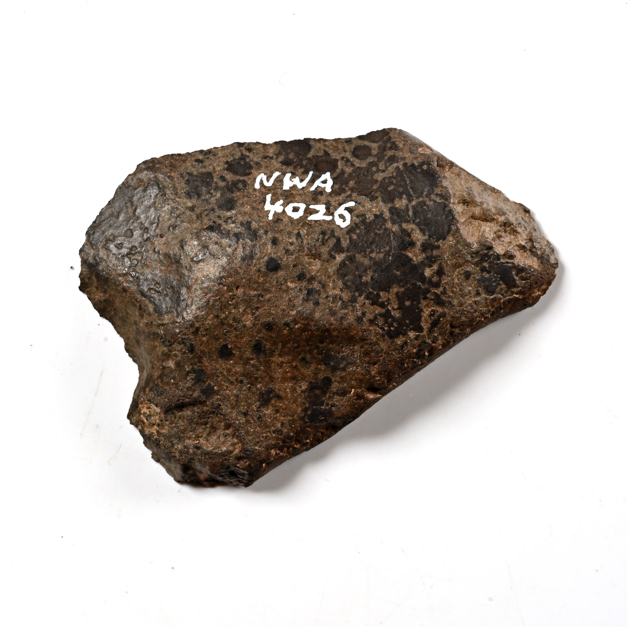 Natural History - Carbonaceous CK 4/5 NWA 4026 Meteorite Slice